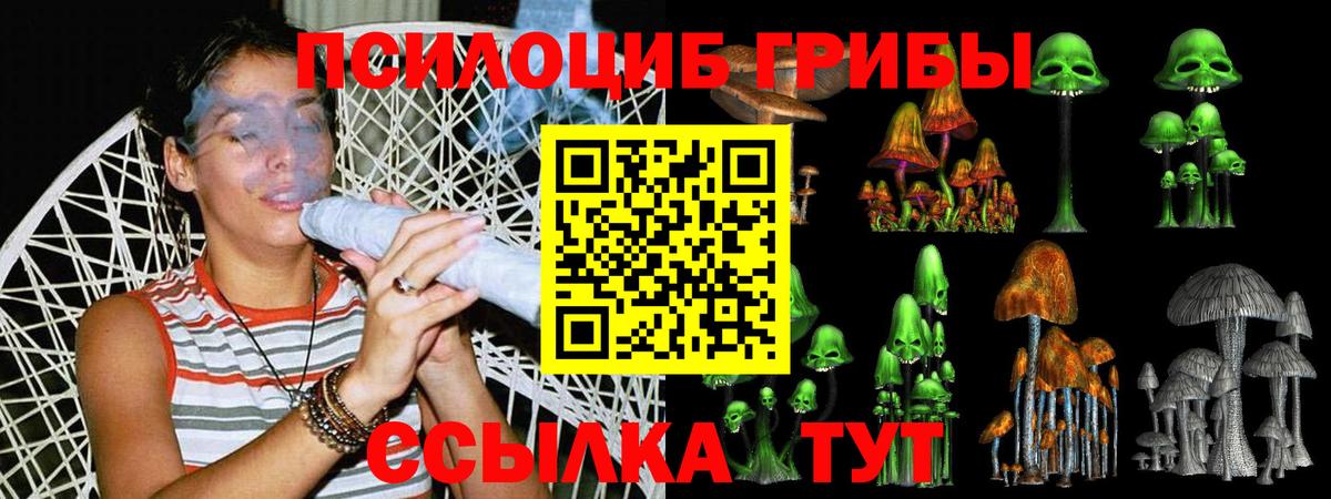 Мелеуз  Псилоцибиновые грибы MAGIC MUSHROOMS  Вход с VPN 